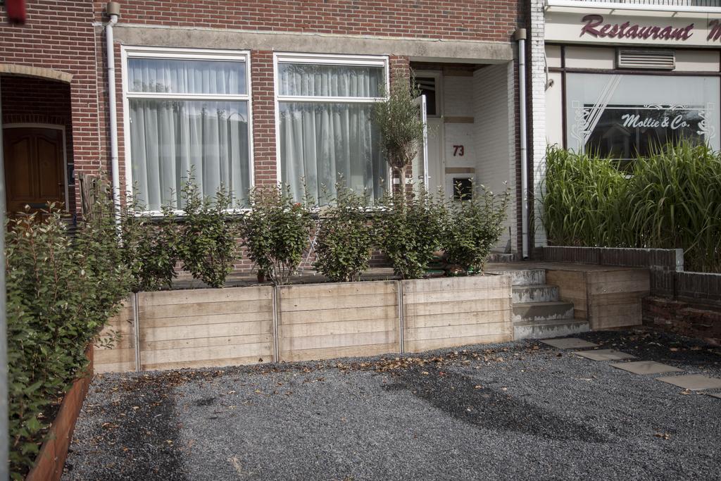 Savina City Centre Apartment Near Beach, Station And Shops Zandvoort Kamer foto